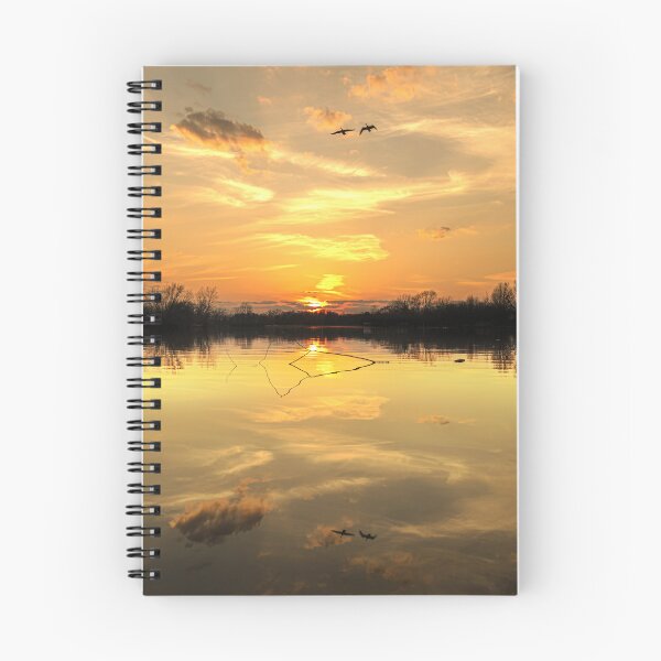 Aperçu de l'œuvre Lac des pins Pondarosa créée et vendue par iamwiley.