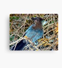 Aggressive Survival Canvas Print
