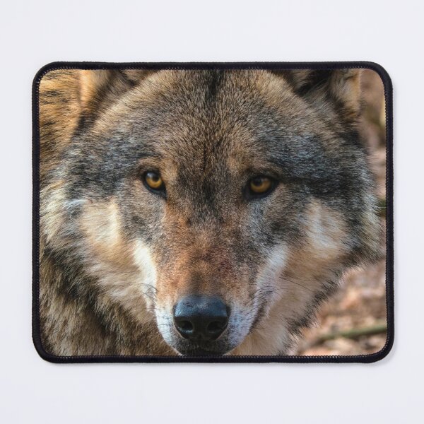 Item preview, Gray Wolf  designed and sold by AlaskaExtreme.