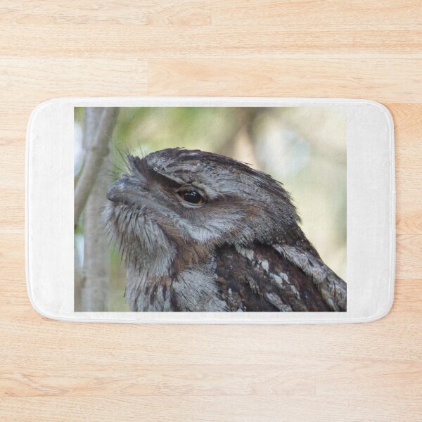 Item preview, Frogmouth. designed and sold by ginnymac.