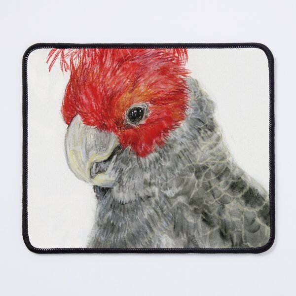 Item preview, Gary the Gang Gang Cockatoo designed and sold by Art-by-Meredith.