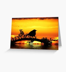 Bird on fire Greeting Card