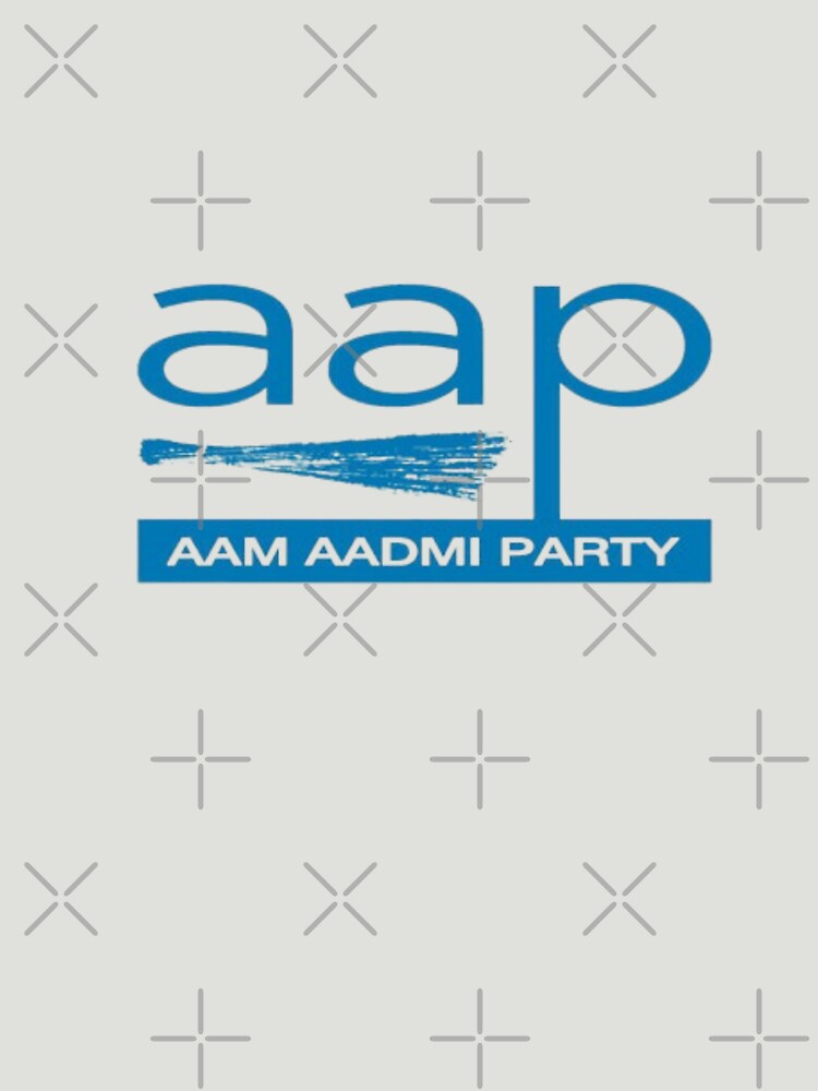 Aam Aadmi Party  My Decision to Support  Vinod Narayan
