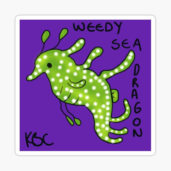 Weedy Sea Dragon Sticker
