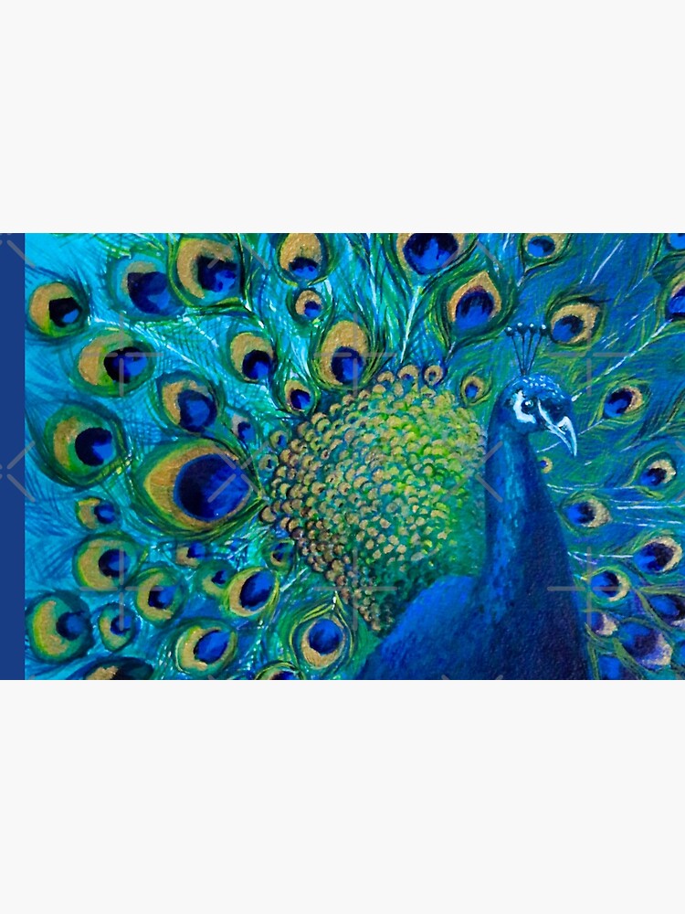 Full Glory Peacock by nicolamorgan