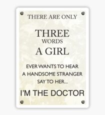 3 Words...I'm The Doctor Sticker