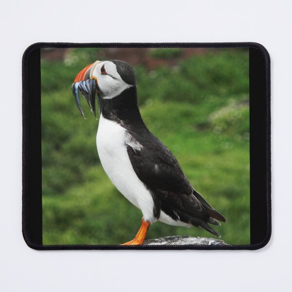 Item preview, Horned Puffin with Fresh Catch, Alaska designed and sold by AlaskaExtreme.