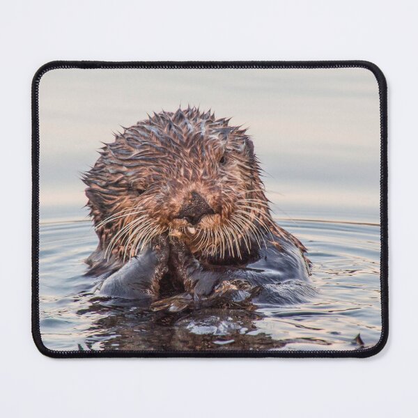 Item preview, Sea Otter, Eating a Mollusk, Southeast Alaska designed and sold by AlaskaExtreme.