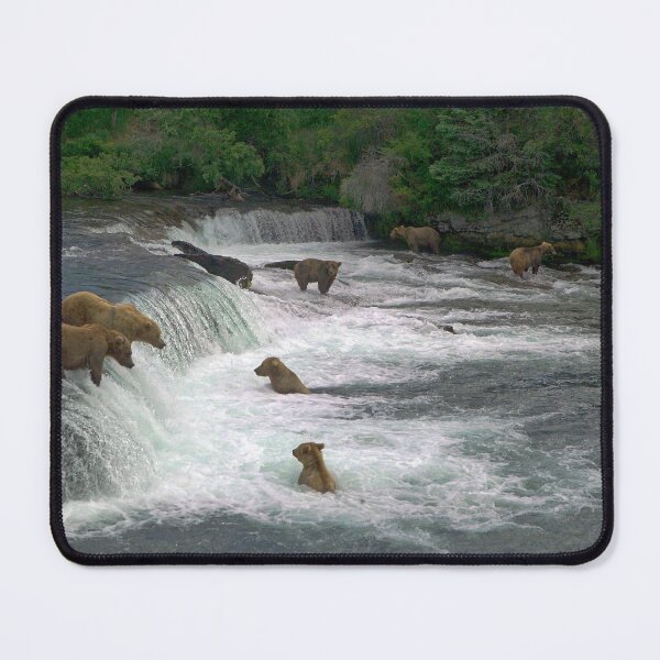 Item preview, Brown Bears, Brooks Falls, Brooks River, Katmai National Park, Alaska designed and sold by AlaskaExtreme.