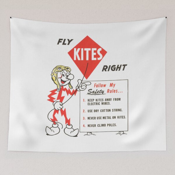 Item preview, FLY KITES RIGHT designed and sold by joseph7924.