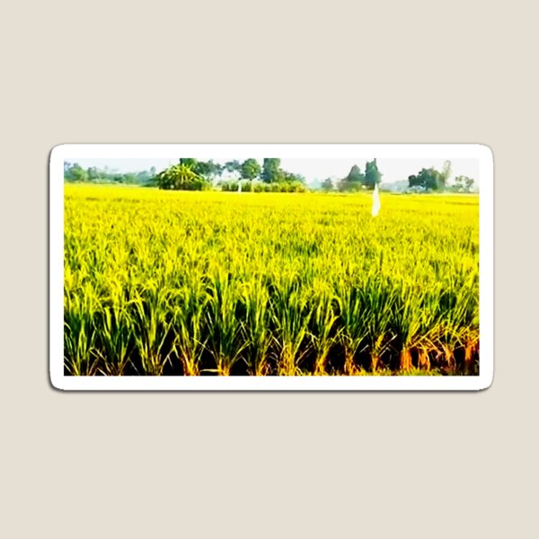 Item preview, Pleasant and Relaxing Atmosphere Seeing the Beauty of Rural Rice Fields That Have Turned Yellow designed and sold by CDMCustom.