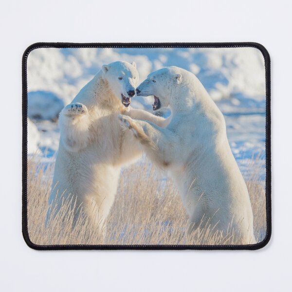 Item preview, Polar Bear Fight designed and sold by wildlifist.