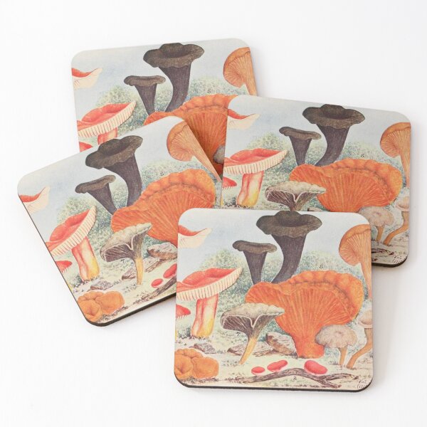 Item preview, Oldish Vintage Mushroom Montage Set #10 designed and sold by Krispsm.