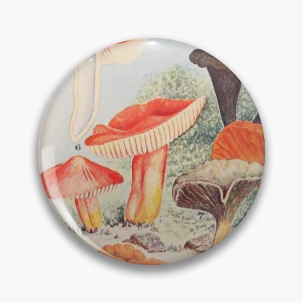 Item preview, Oldish Vintage Mushroom Montage Set #10 designed and sold by Krispsm.