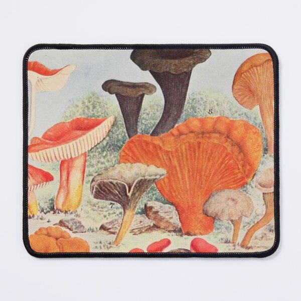 Item preview, Oldish Vintage Mushroom Montage Set #10 designed and sold by Krispsm.