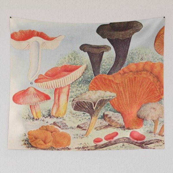 Item preview, Oldish Vintage Mushroom Montage Set #10 designed and sold by Krispsm.