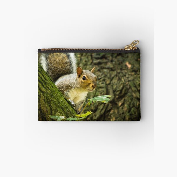 Aperçu de l'œuvre Grey Squirrel 2 créée et vendue par Ralph Goldsmith.