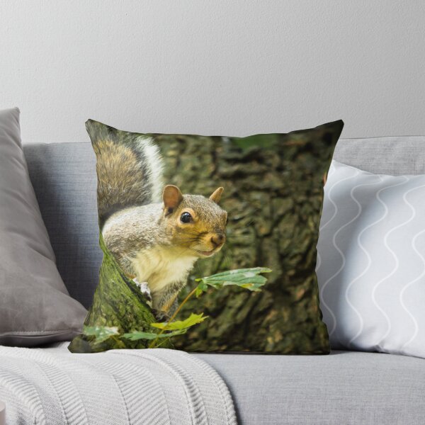 Aperçu de l'œuvre Grey Squirrel 2 créée et vendue par Ralph Goldsmith.