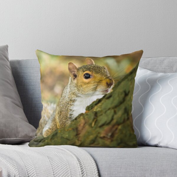 Aperçu de l'œuvre Grey Squirrel 1 créée et vendue par Ralph Goldsmith.