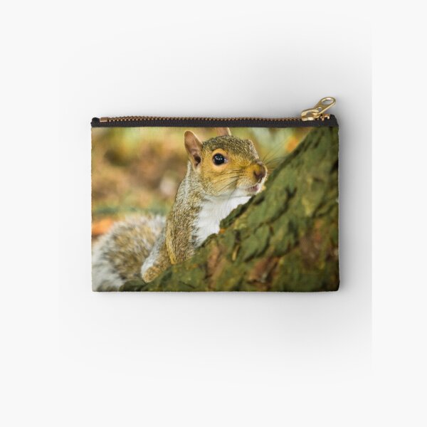 Item preview, Grey Squirrel 1 designed and sold by Ralph Goldsmith.