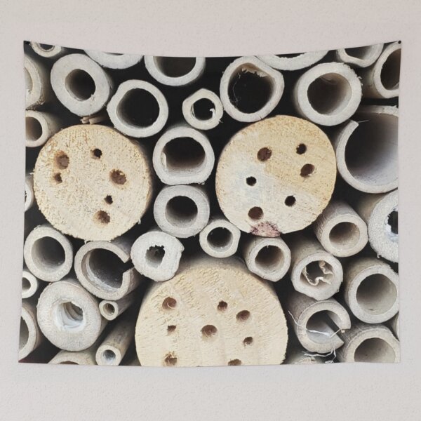 Item preview, BeeHouse designed and sold by aginlow.