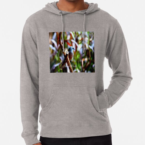 Bird of Colours Lightweight Hoodie