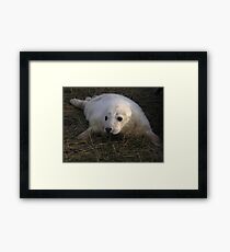 Precious Framed Print