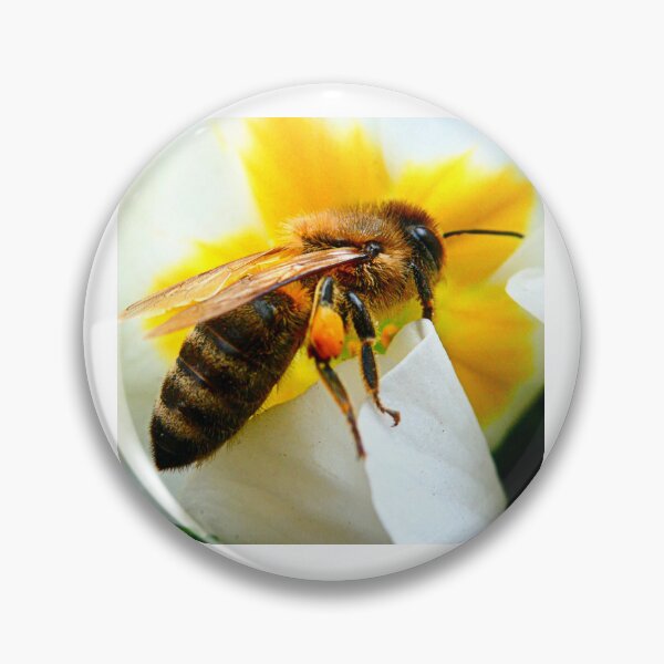 Item preview, Honey bee on white primula designed and sold by angel1.