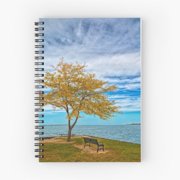 Item preview, Renewal designed and sold by John Bailey.