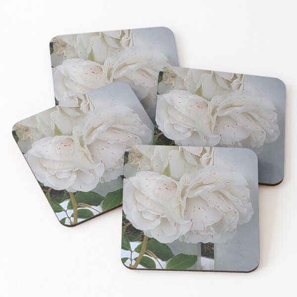 Item preview, Floribunda Roses | Spotted White Rose | Highbred Flowers designed and sold by Hexxyl.