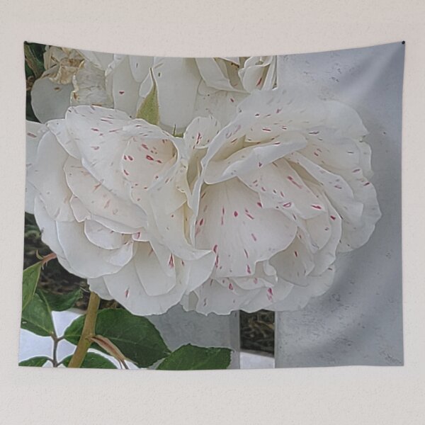 Item preview, Floribunda Roses | Spotted White Rose | Highbred Flowers designed and sold by Hexxyl.