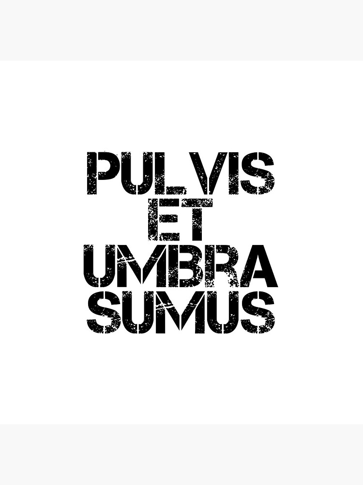 Latin phrase pulvis deals et umbra sumus