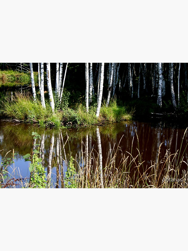 Reflection by Antanas
