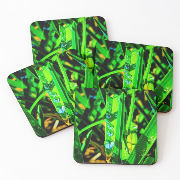 Item preview, Encinitas | Moonlight Beach | Plants at the beach | Water Droplets designed and sold by Hexxyl.