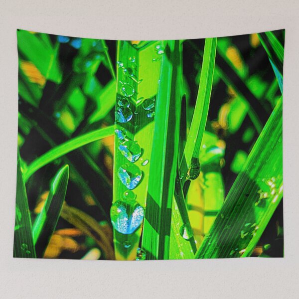 Item preview, Encinitas | Moonlight Beach | Plants at the beach | Water Droplets designed and sold by Hexxyl.