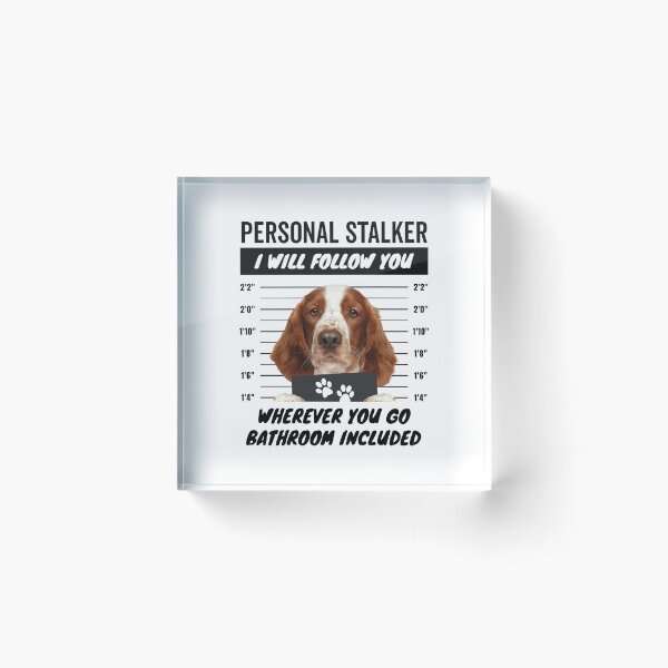 Item preview, Personal Stalker Dog – Welsh Springer Spaniel designed and sold by More Cute Dogs.