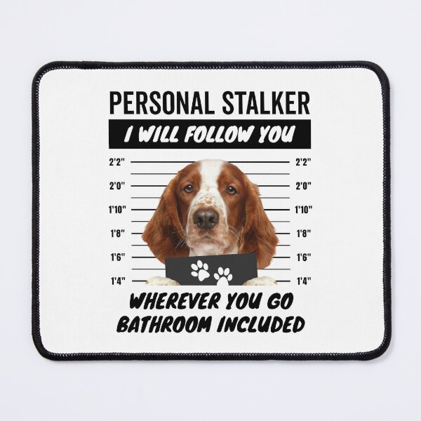 Item preview, Personal Stalker Dog – Welsh Springer Spaniel designed and sold by More Cute Dogs.