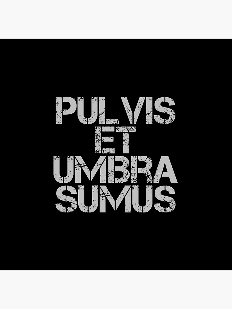 Latin phrase pulvis deals et umbra sumus