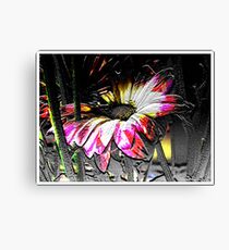 White Flower Canvas Print