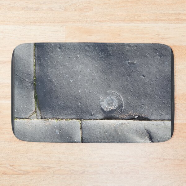 Item preview, The Lone Ammonite designed and sold by Alexandra Lavizzari.