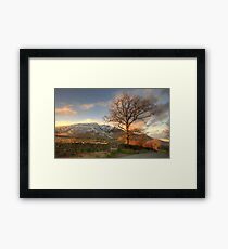 Blencathra and Tree Framed Print