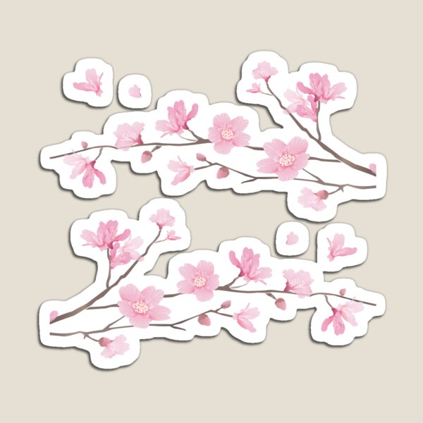Cherry Blossom - Transparent Background Magnet