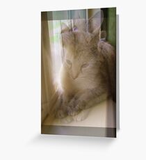 Precious Greeting Card