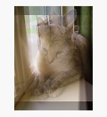 Precious Photographic Print
