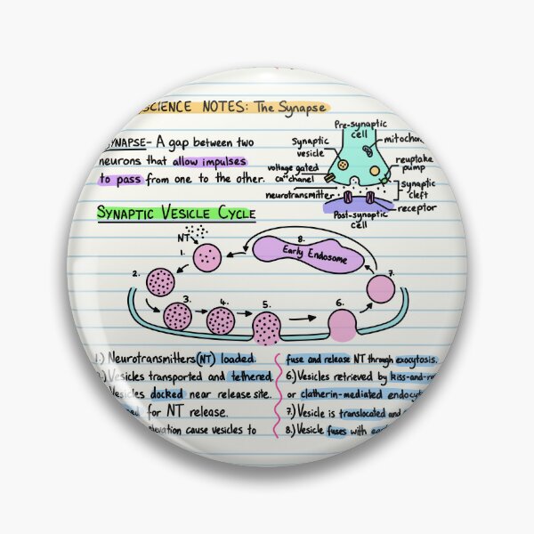 Artikelvorschau, Neurowissenschaftliche Notizen - Synapse entworfen und verkauft von BundaBear.