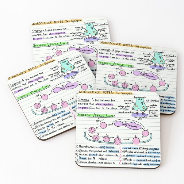Item preview, Neuroscience Notes - Synapse designed and sold by BundaBear.