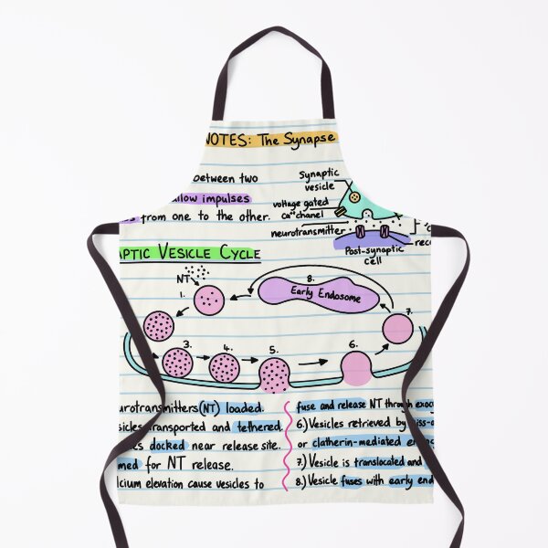 Item preview, Neuroscience Notes - Synapse designed and sold by BundaBear.