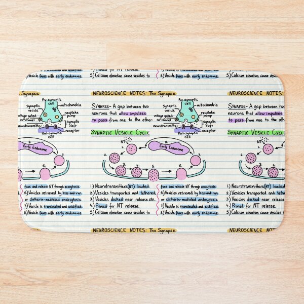 Item preview, Neuroscience Notes - Synapse designed and sold by BundaBear.