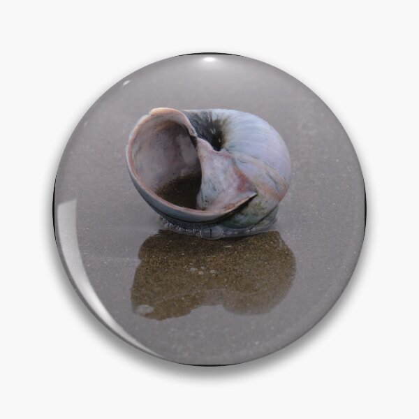 Item preview, Snail shell with Reflection designed and sold by ianlewer.