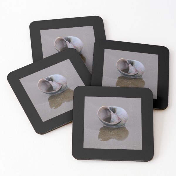 Item preview, Snail shell with Reflection designed and sold by ianlewer.